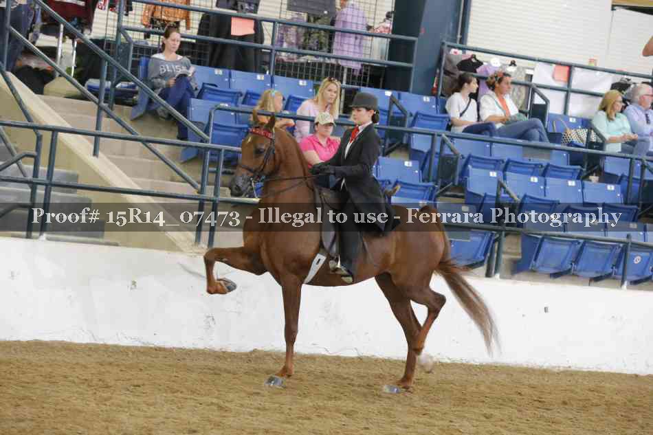 Proof Number 15R14_07473