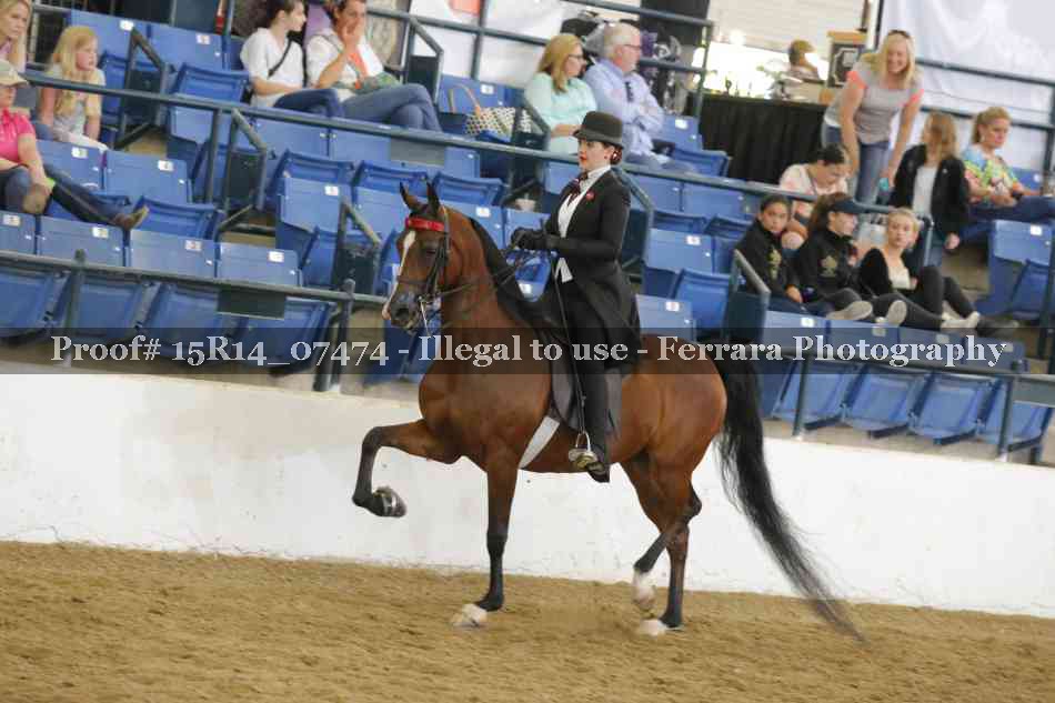 Proof Number 15R14_07474