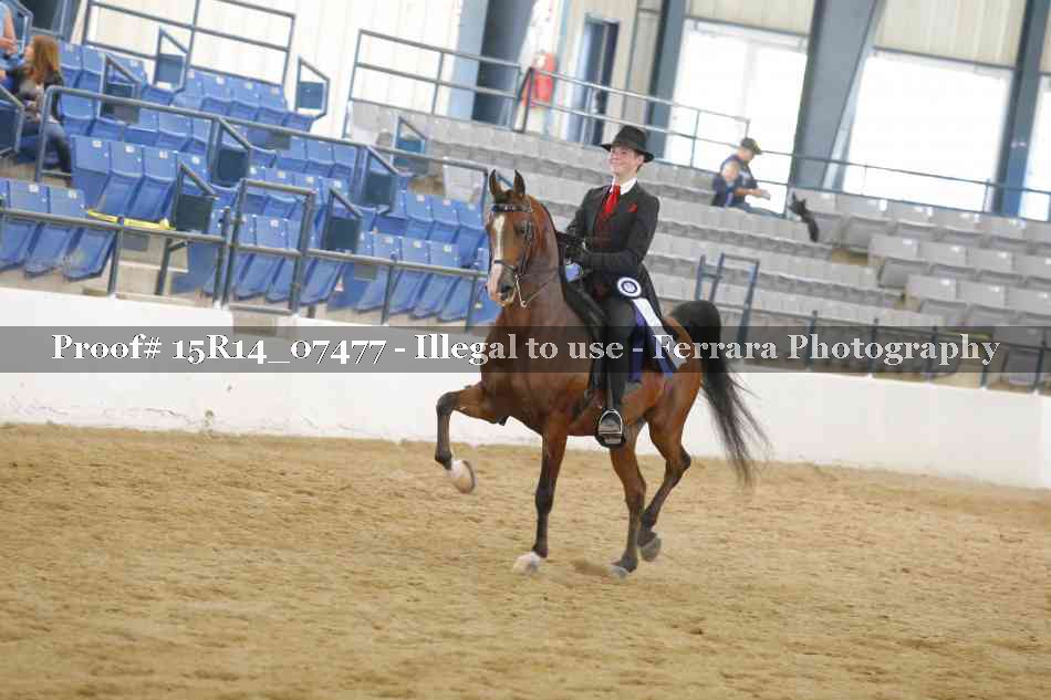 Proof Number 15R14_07477