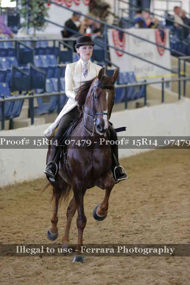 Proof Number 15R14_07479