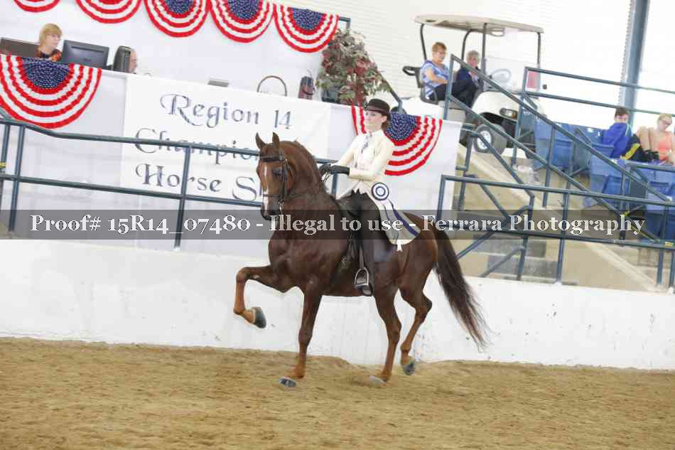Proof Number 15R14_07480