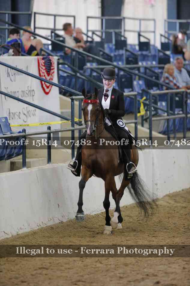 Proof Number 15R14_07482