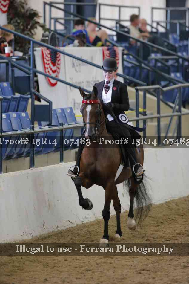Proof Number 15R14_07483