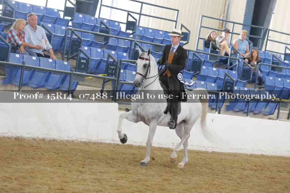 Proof Number 15R14_07488