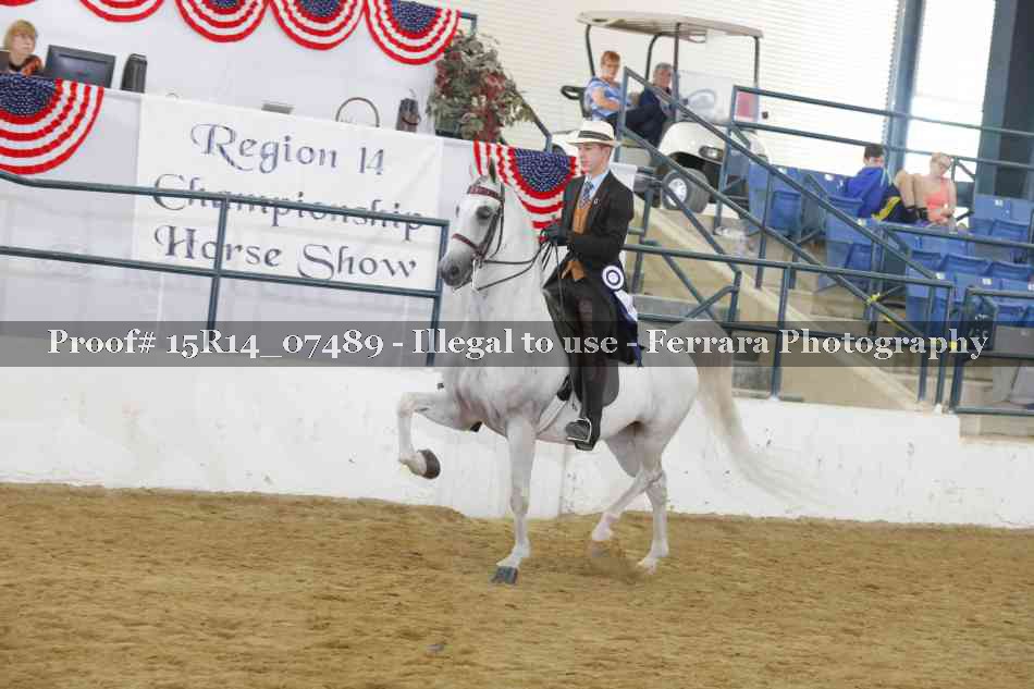 Proof Number 15R14_07489
