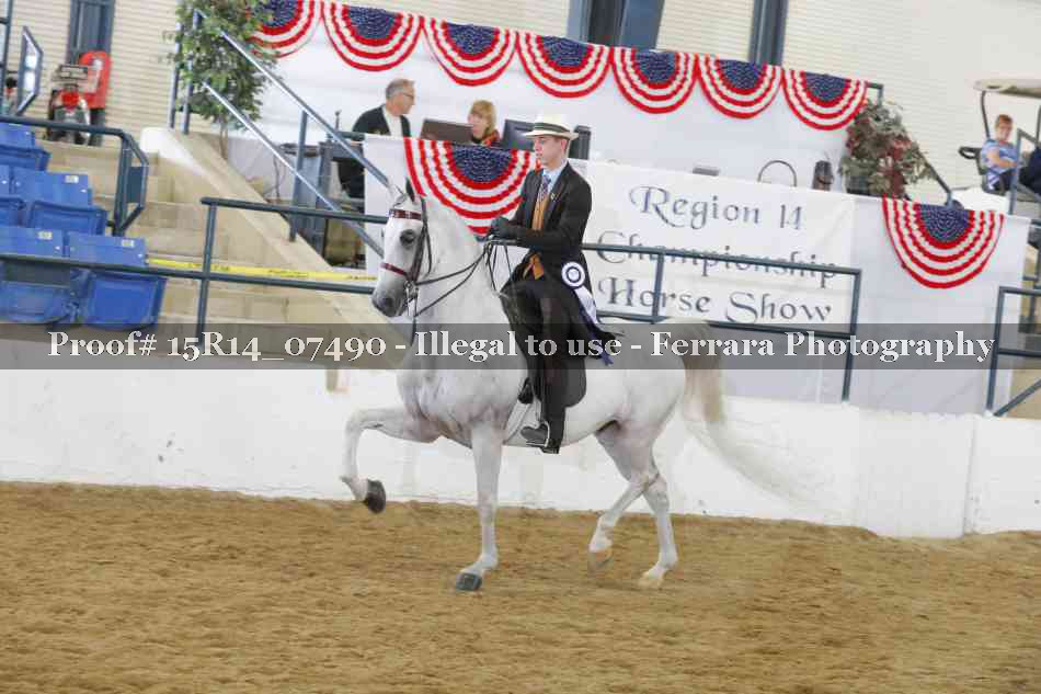 Proof Number 15R14_07490