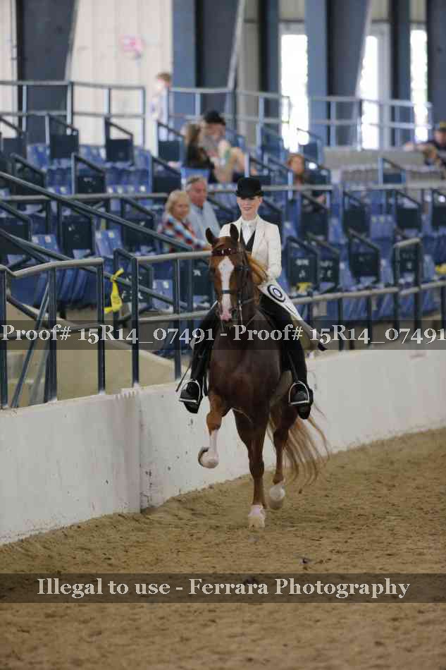 Proof Number 15R14_07491