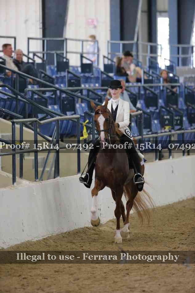 Proof Number 15R14_07492