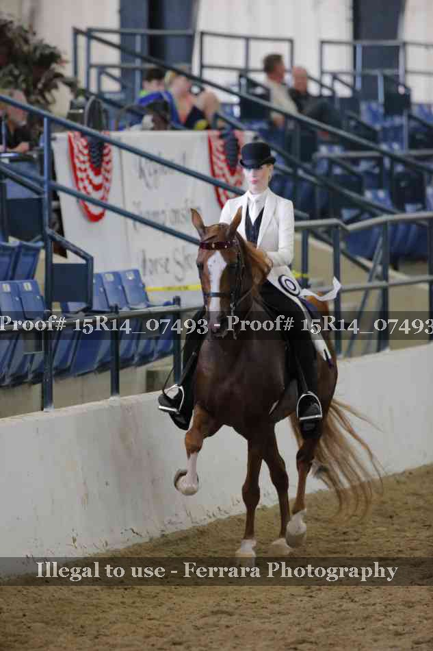 Proof Number 15R14_07493