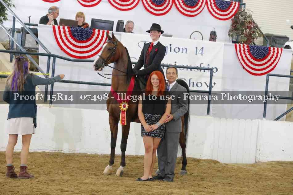 Proof Number 15R14_07498