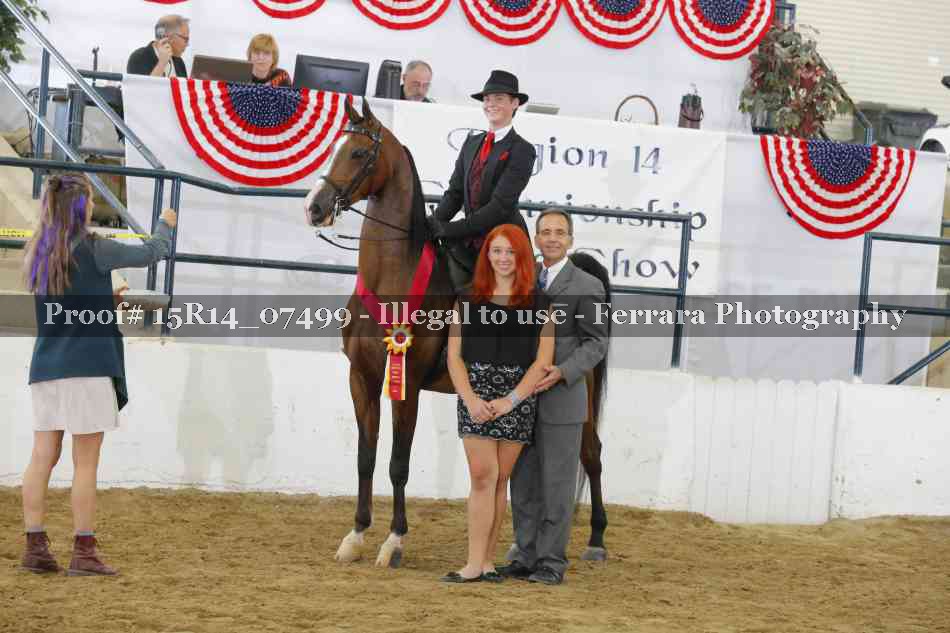 Proof Number 15R14_07499