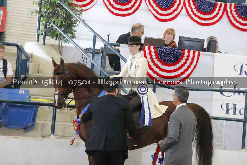 Proof Number 15R14_07501