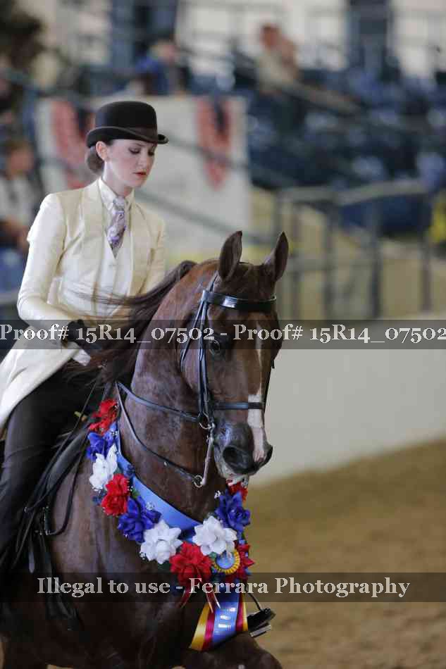 Proof Number 15R14_07502