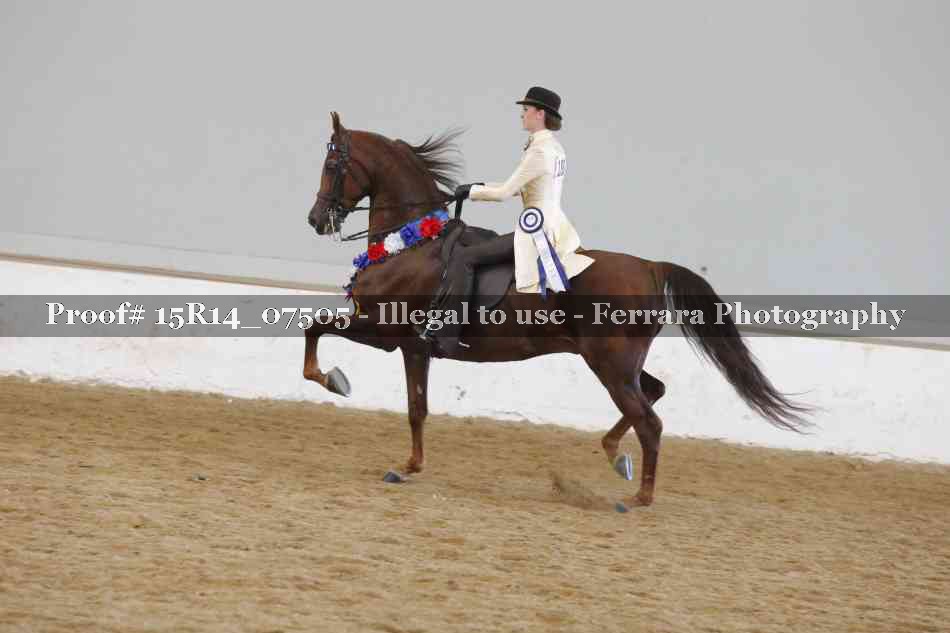 Proof Number 15R14_07505