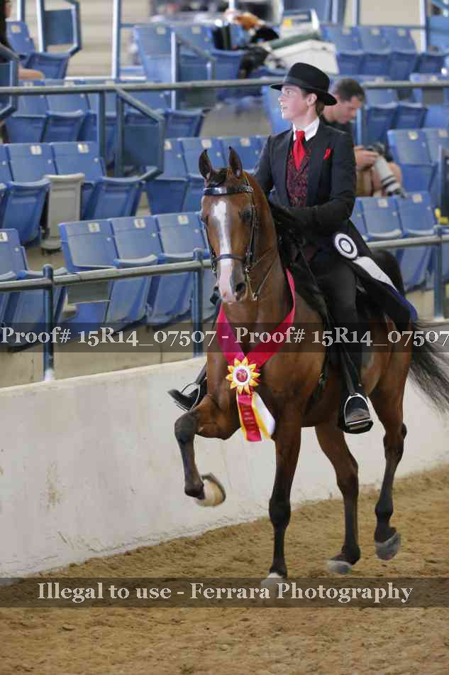 Proof Number 15R14_07507