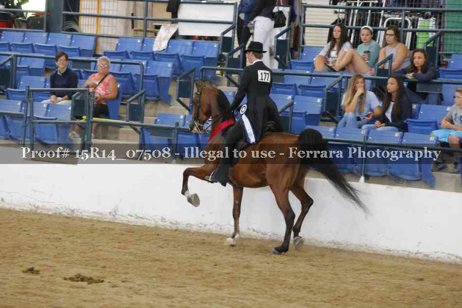 Proof Number 15R14_07508