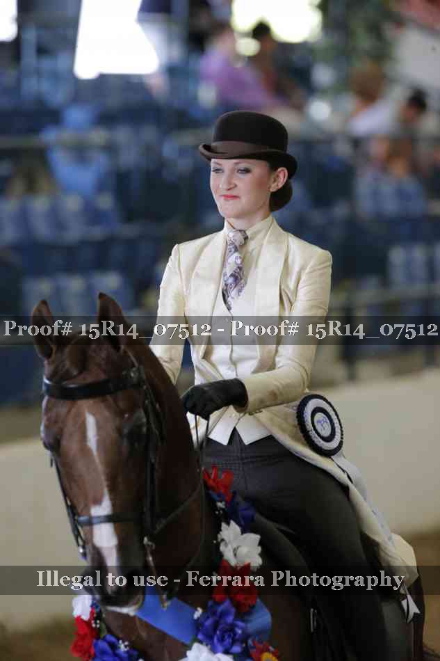 Proof Number 15R14_07512