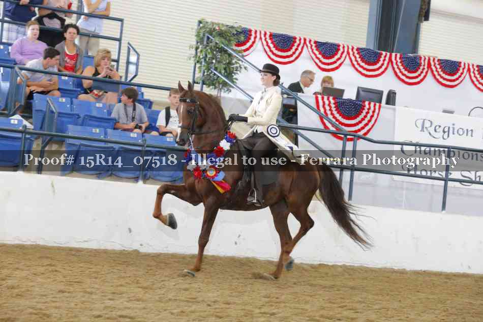 Proof Number 15R14_07518
