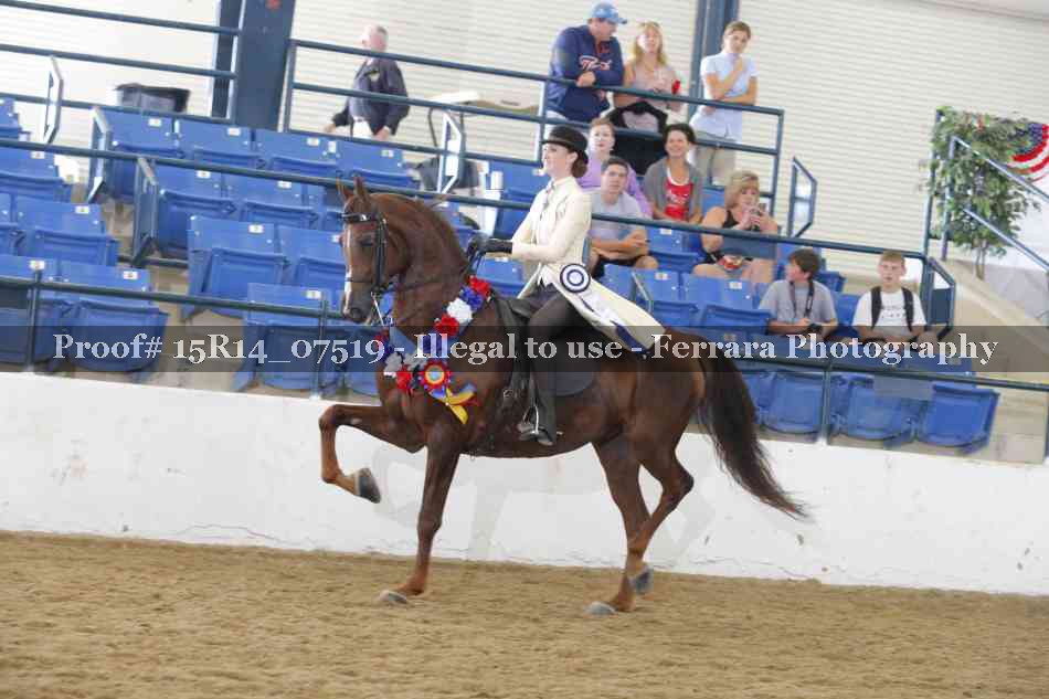 Proof Number 15R14_07519