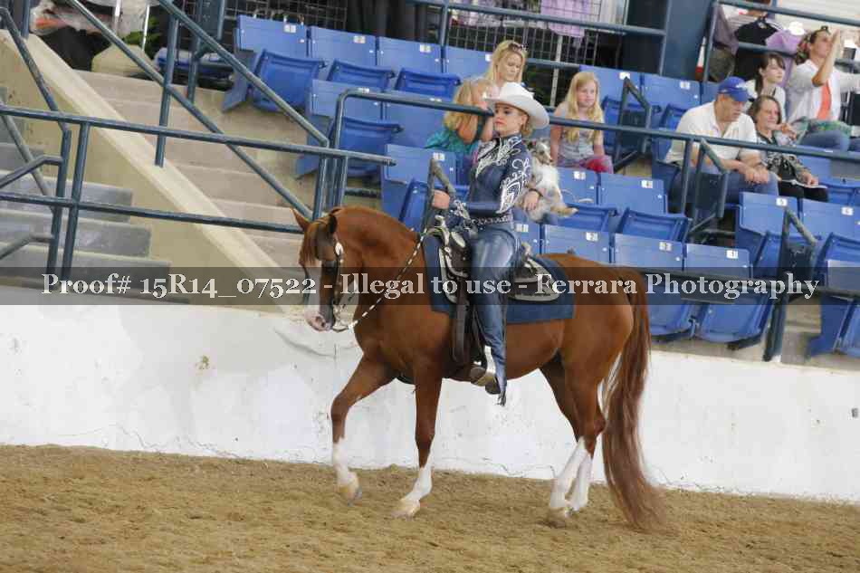 Proof Number 15R14_07522