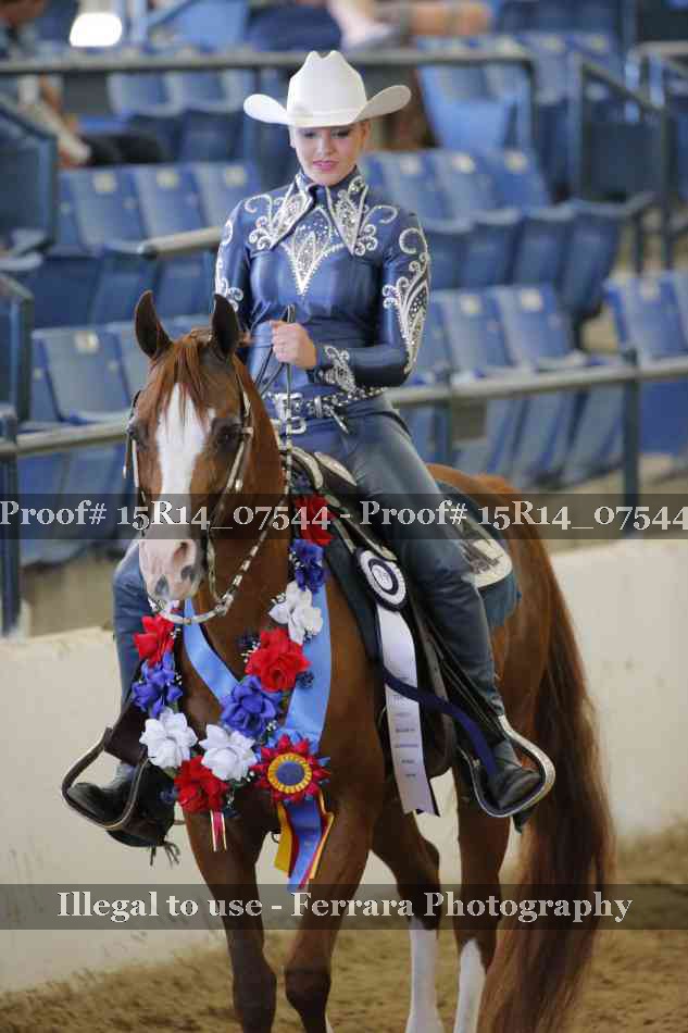 Proof Number 15R14_07544