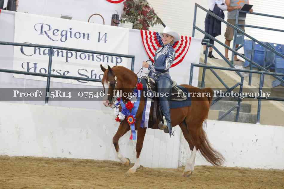 Proof Number 15R14_07546