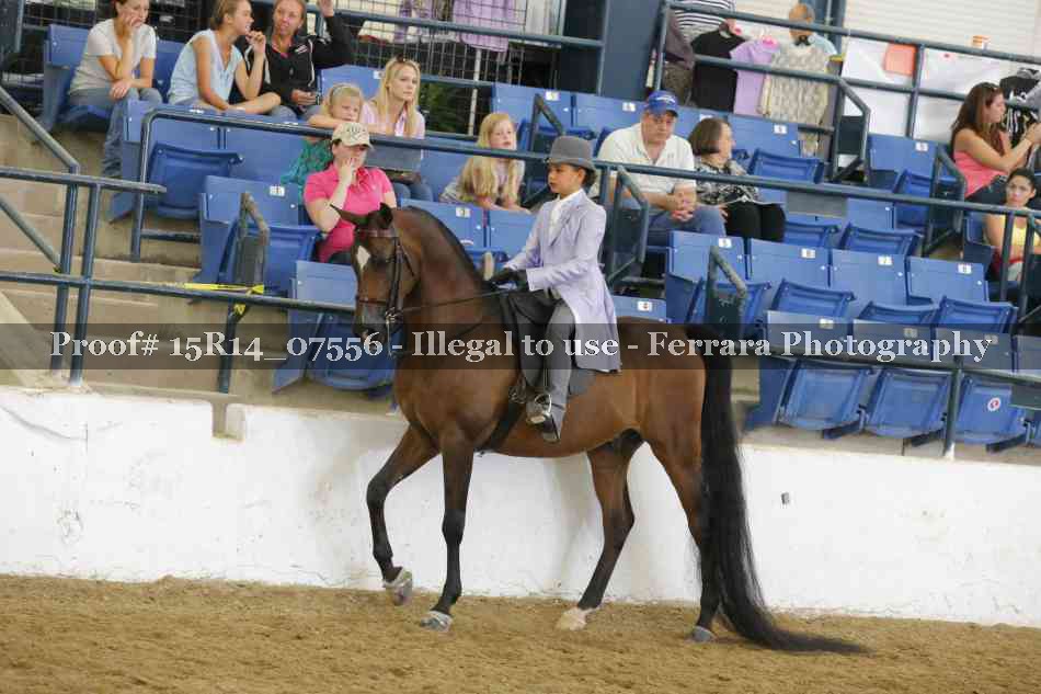 Proof Number 15R14_07556