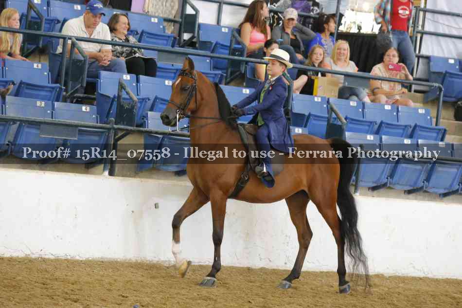 Proof Number 15R14_07558