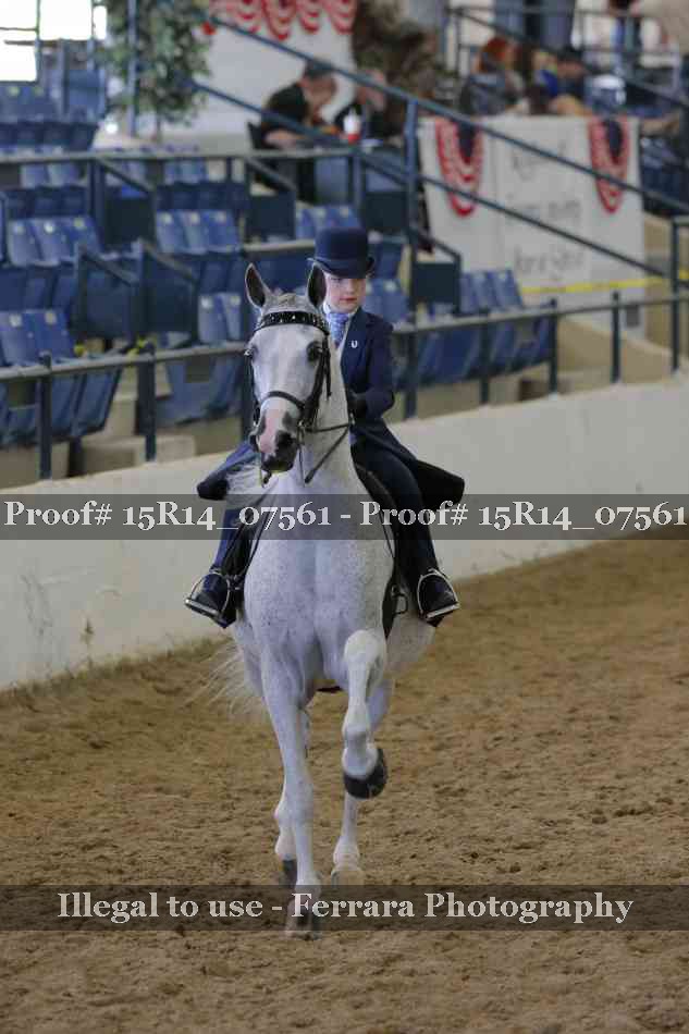 Proof Number 15R14_07561