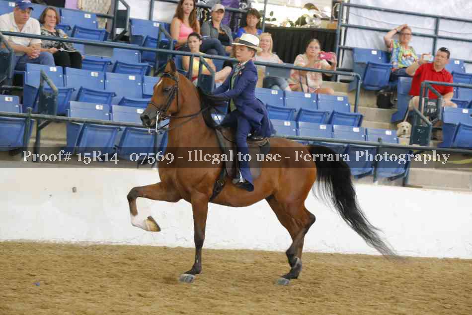 Proof Number 15R14_07569