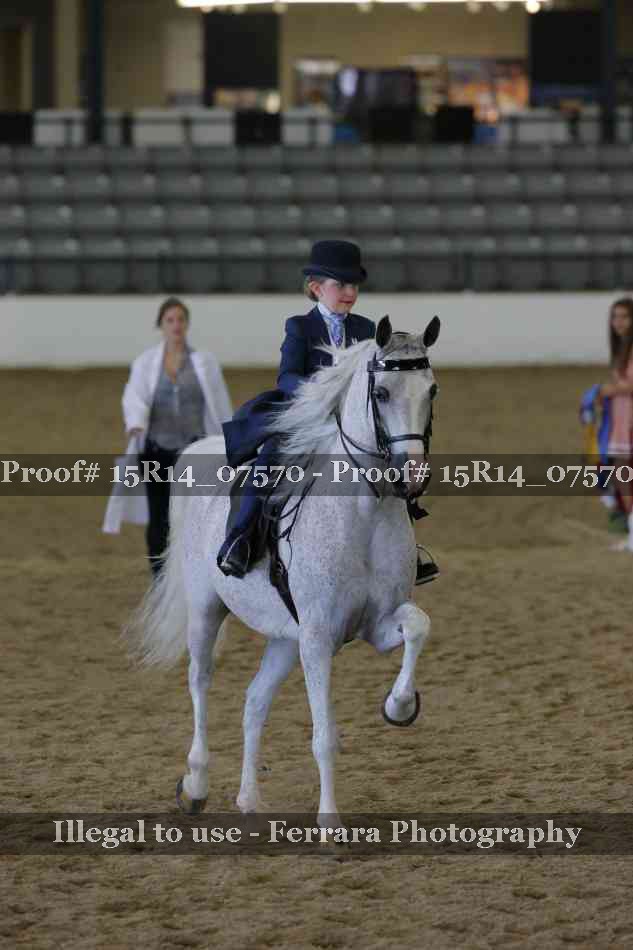 Proof Number 15R14_07570