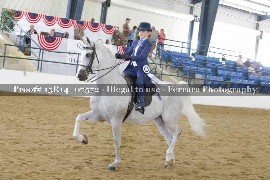 Proof Number 15R14_07572