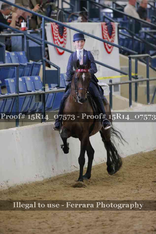 Proof Number 15R14_07573