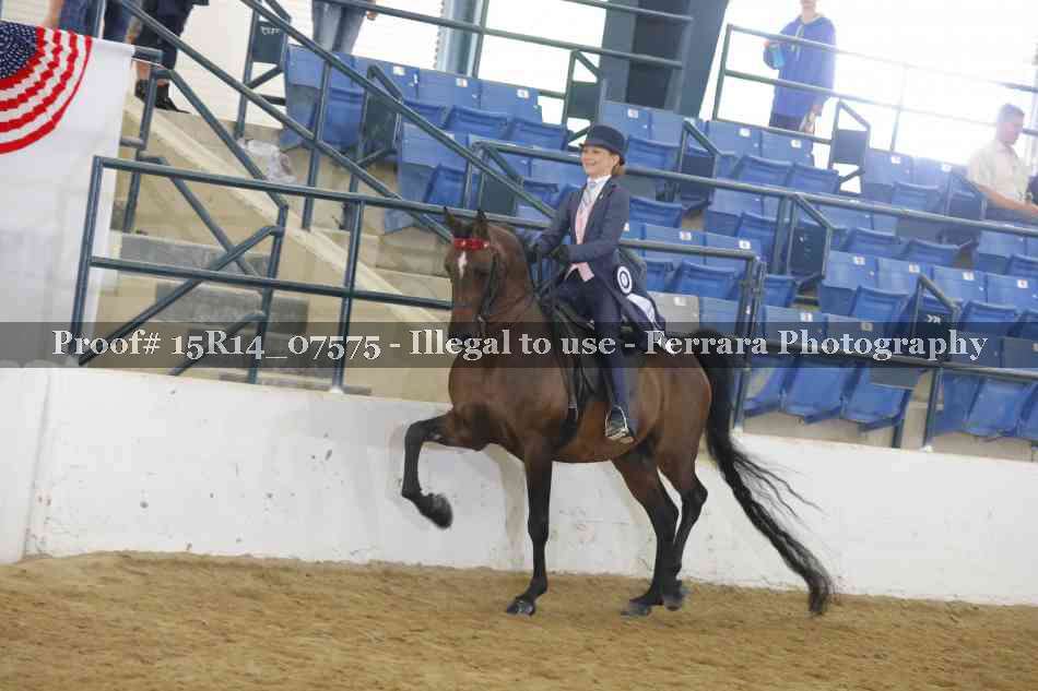 Proof Number 15R14_07575