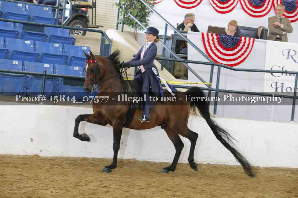 Proof Number 15R14_07577