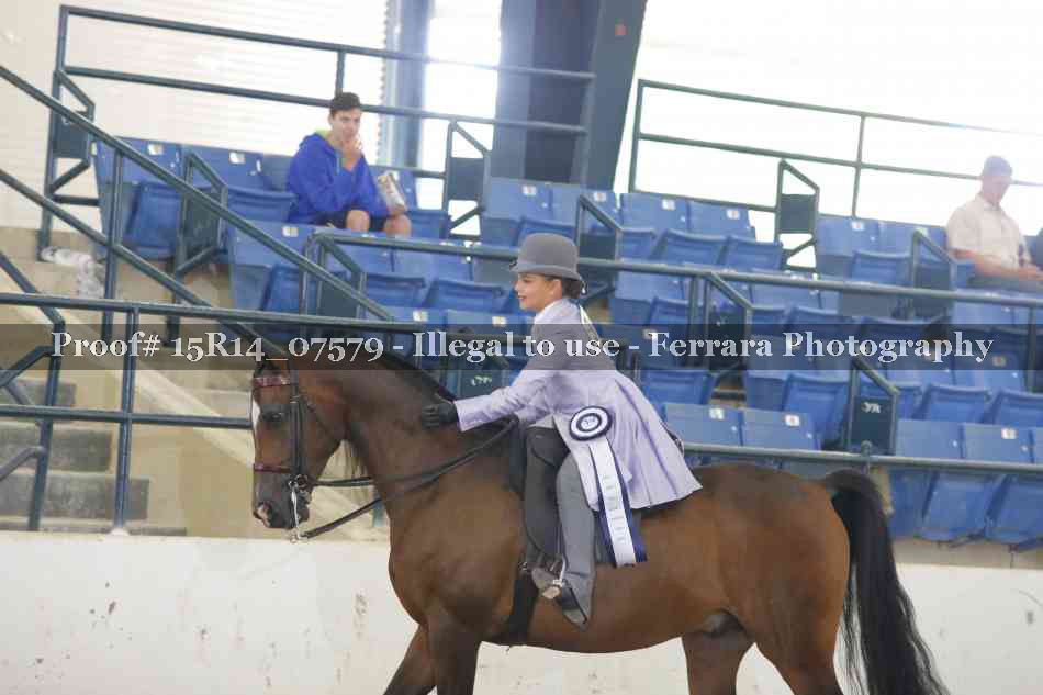 Proof Number 15R14_07579