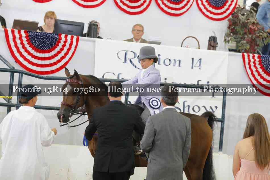Proof Number 15R14_07580