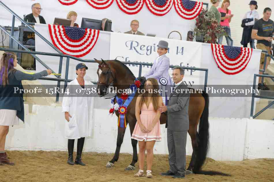Proof Number 15R14_07581