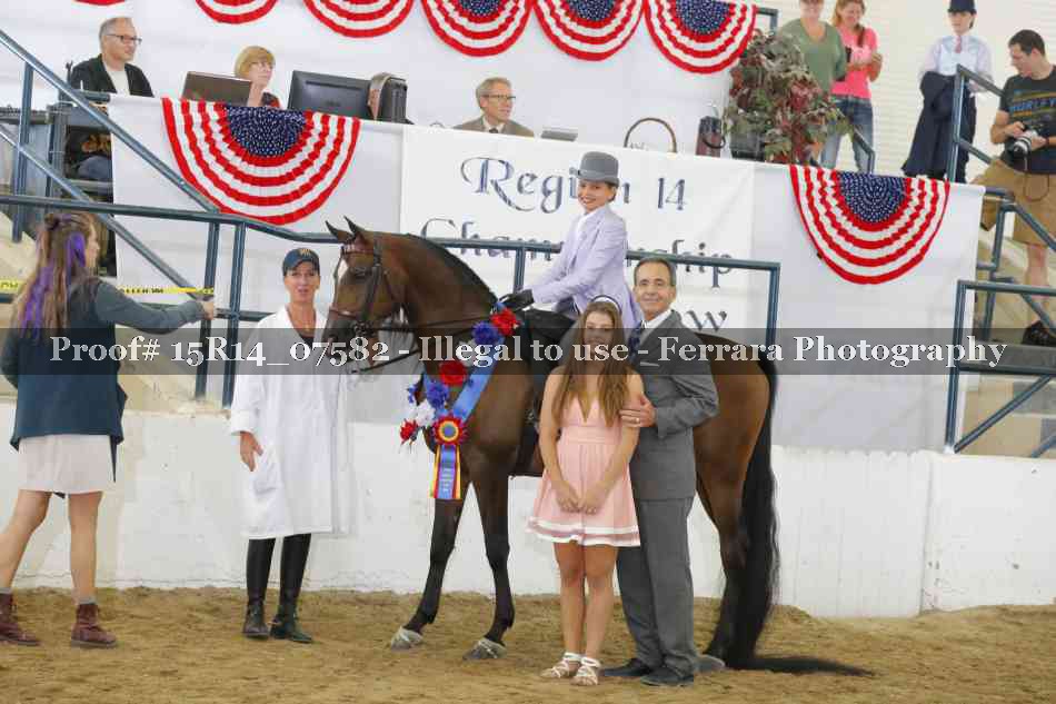 Proof Number 15R14_07582