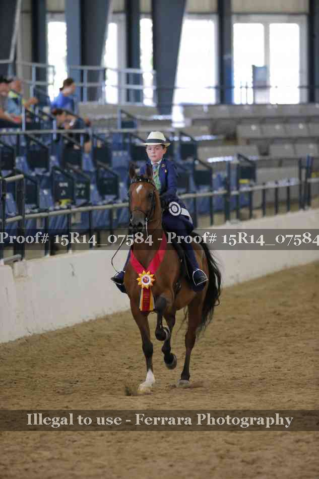 Proof Number 15R14_07584
