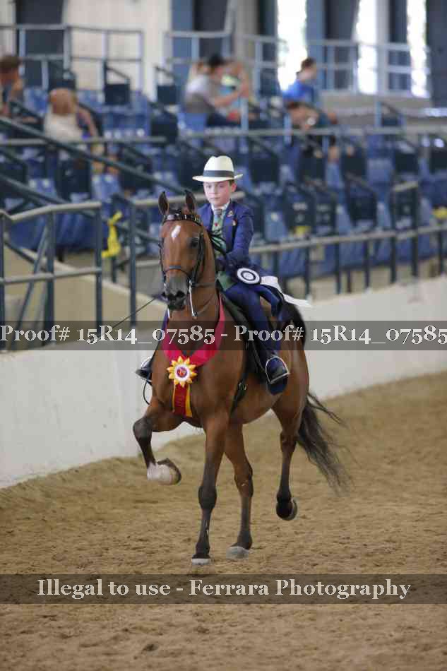 Proof Number 15R14_07585