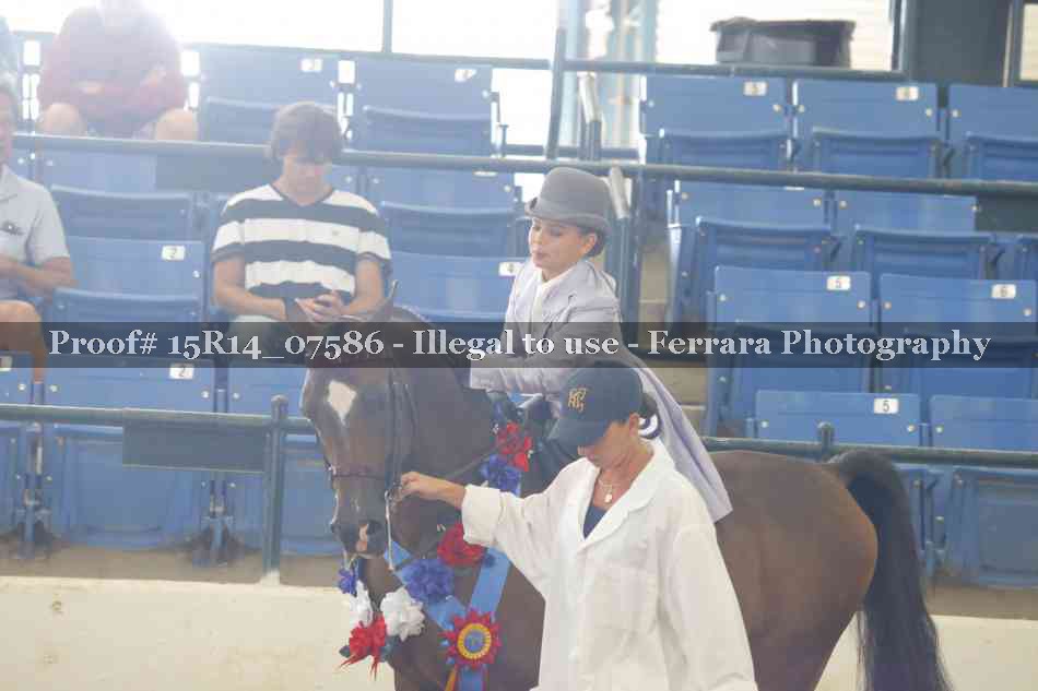 Proof Number 15R14_07586