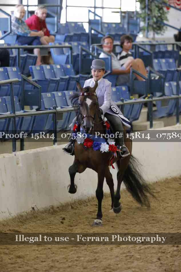 Proof Number 15R14_07589
