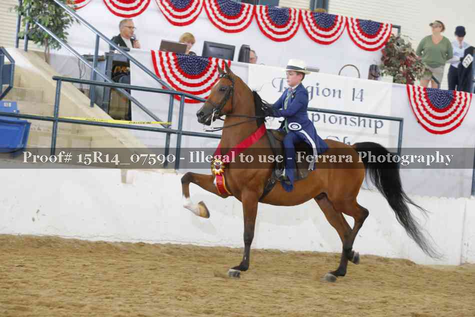Proof Number 15R14_07590