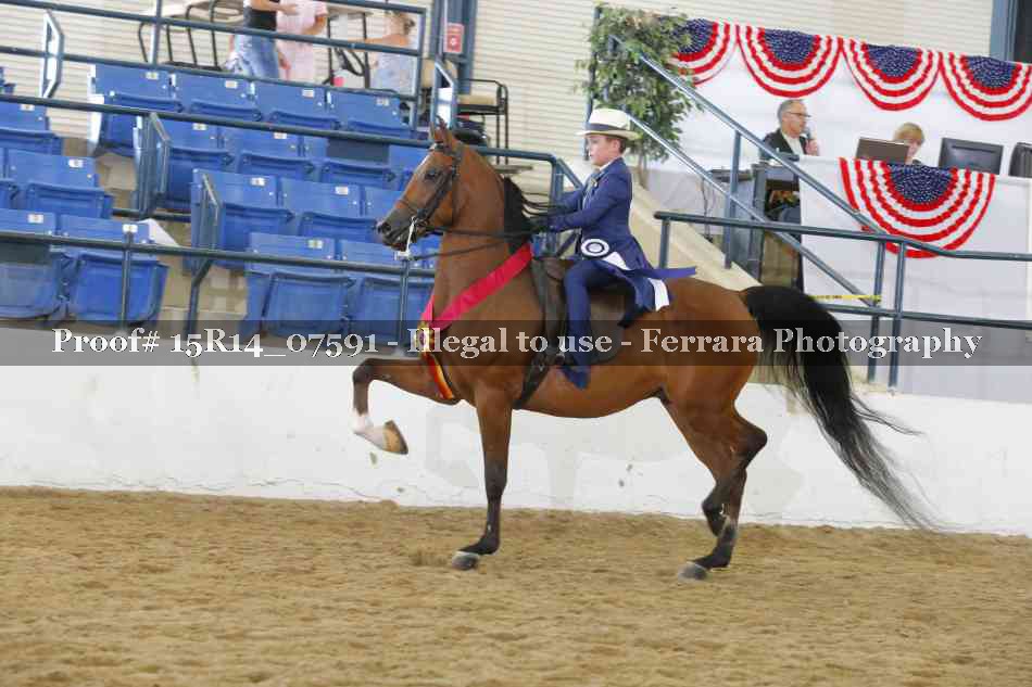 Proof Number 15R14_07591