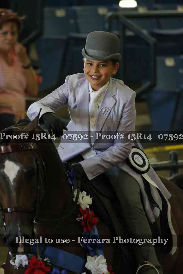 Proof Number 15R14_07592
