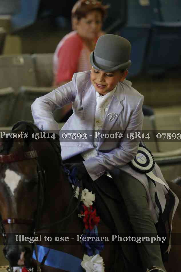 Proof Number 15R14_07593