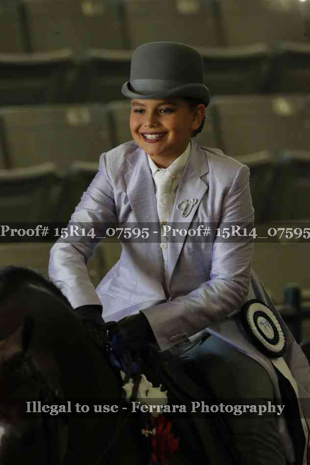 Proof Number 15R14_07595