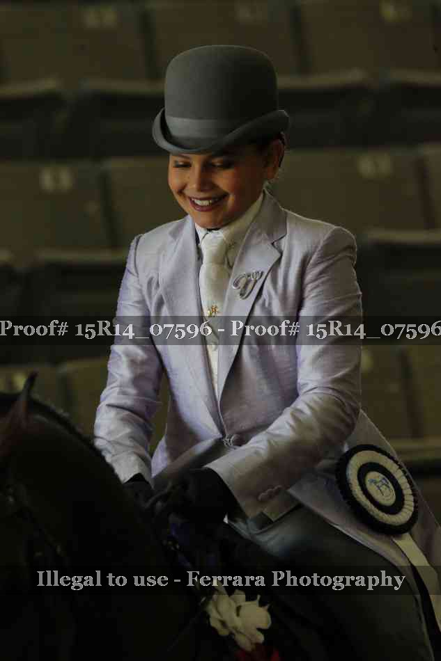 Proof Number 15R14_07596