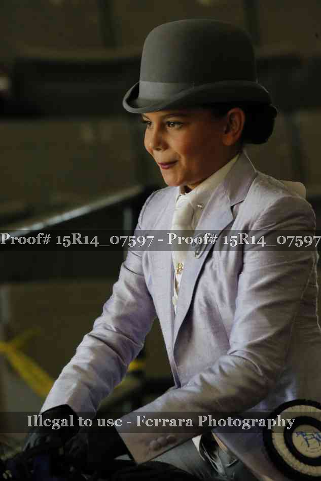 Proof Number 15R14_07597